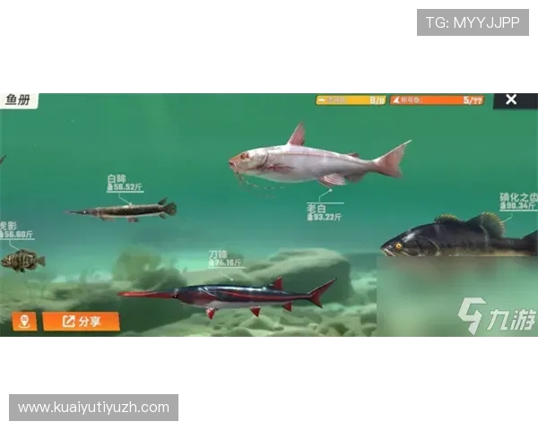 博鱼官网下载安装安全可靠，保障玩家个人信息与游戏体验的全面指南